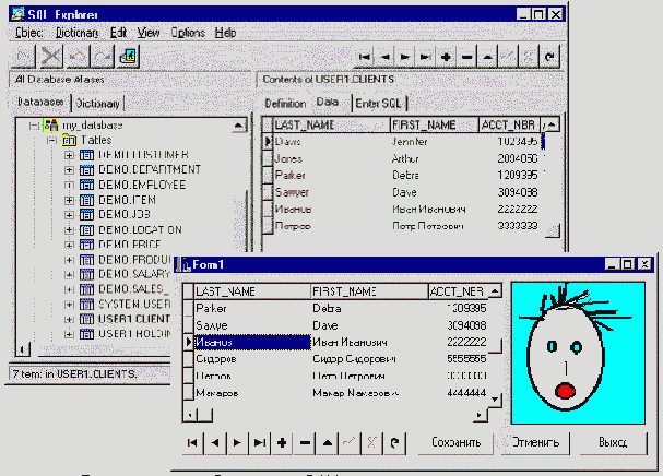  TDatabase